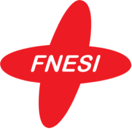 logo : FNESI