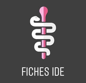 logo : Fiches IDE